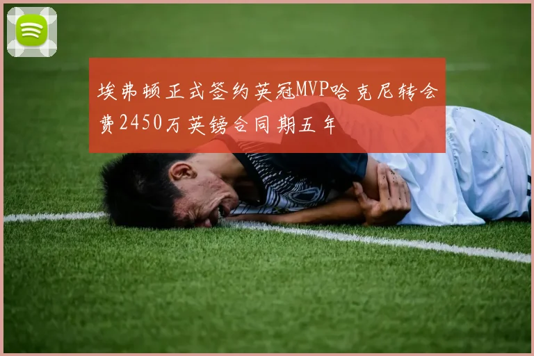 埃弗顿正式签约英冠MVP哈克尼转会费2450万英镑合同期五年