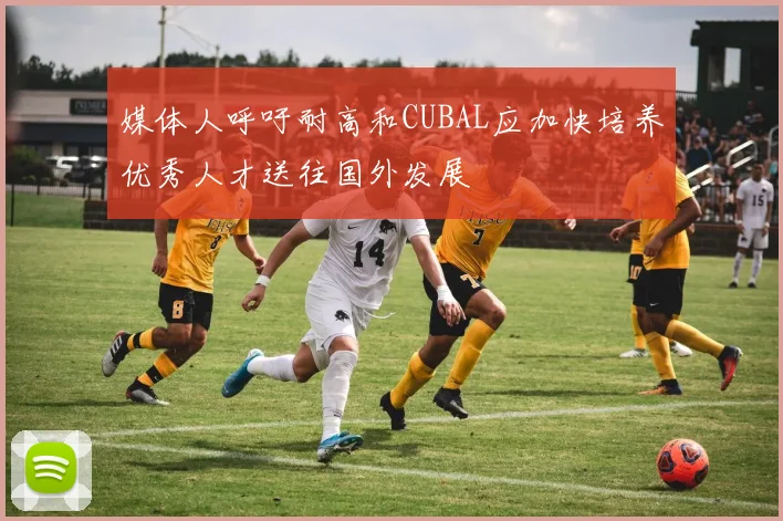 媒体人呼吁耐高和CUBAL应加快培养优秀人才送往国外发展