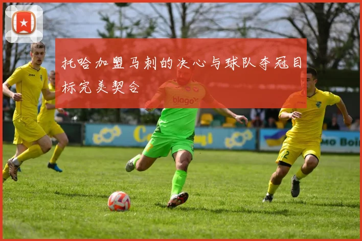 托哈加盟马刺的决心与球队夺冠目标完美契合